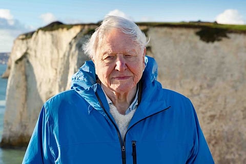 ‘Ocean’ is David Attenborough's greatest, most personal account yet