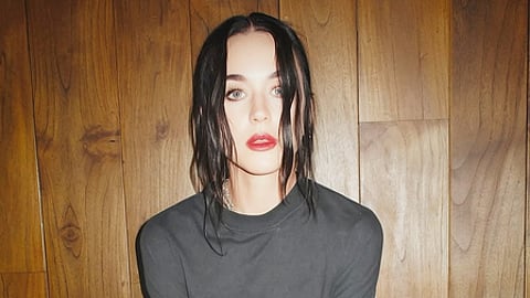 Katy Perry ambushed by fan during Sydney concert