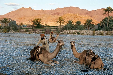 Oman to introduce personal income tax from 2028