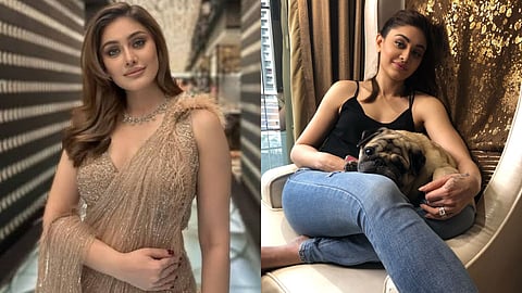 Tracing Shefali Jariwala's net worth, fight with epilepsy and more