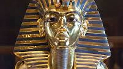 Ancient curse to modern cure: Pharaoh's fungus fights cancer