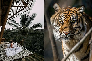 Fascinated by the wild? Stay in these places and experience the wilderness like never before