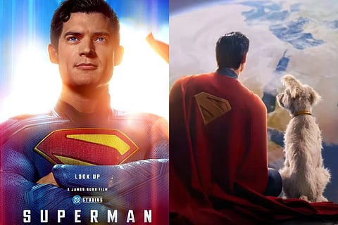 Superman movie surges dog adoption by 500% across America