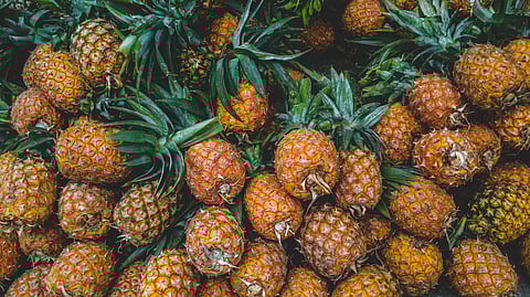Meghalayan Kew Pineapples