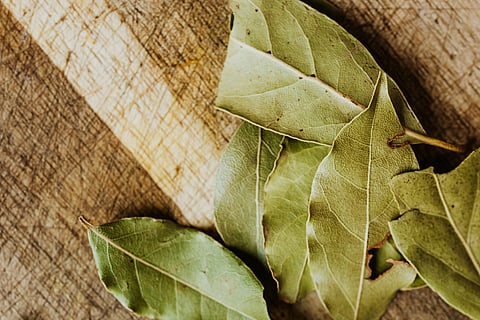 Bay leaves and its benefits