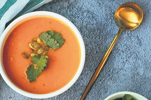 Typhoid recovery tips: Boost immunity and heal your gut fast