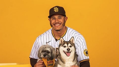 Shohei Ohtani accused of blocking a project