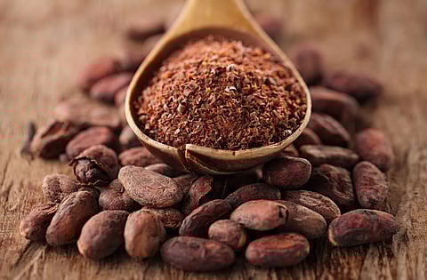 How is cocoa powder different from cacao?