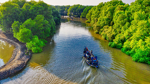 Planning a trip to the Amazon Rainforest? Keep these in mind