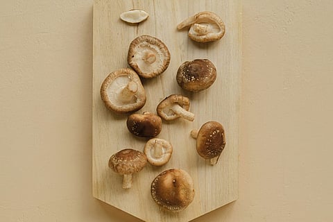 Three best plant proteins for muscle, energy and immunity