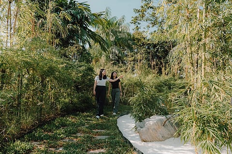 Singapore welcomes the world's first outdoor Bamboo Grove located within an airport!