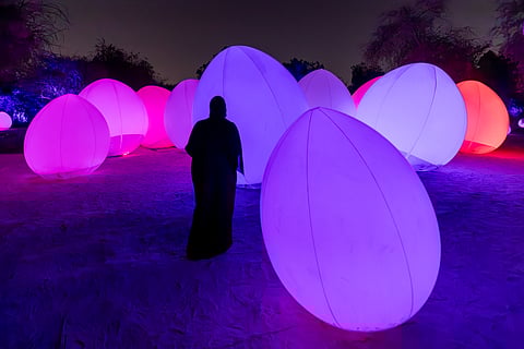 Autonomous Resonating Life and Resonating Trees, Manar Abu Dhabi 2023