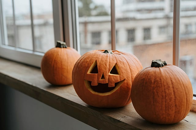Best pumpkin picks this halloween
