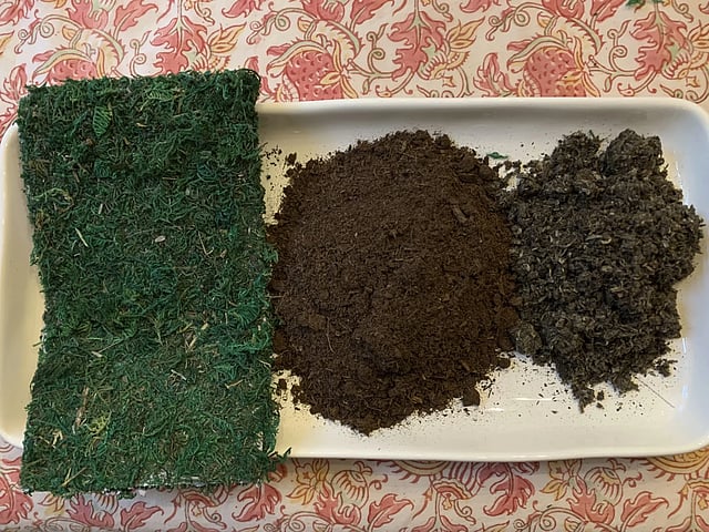 Turn your houseplants into sculptural art with this simple technique