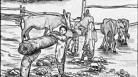 From one of the panels in Uprooted by Ita Mehrotra