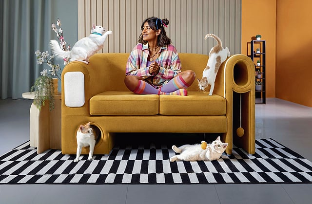 The Purr-fect Couch is a sleek, design-forward sofa that’s as appealing to humans as it is to their feline housemates