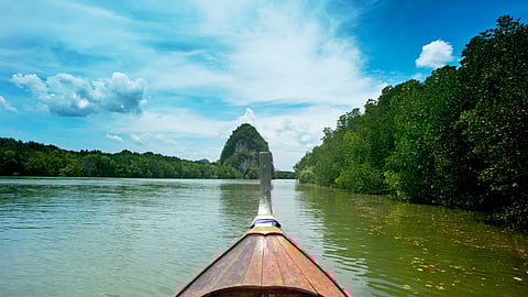 Near death experience