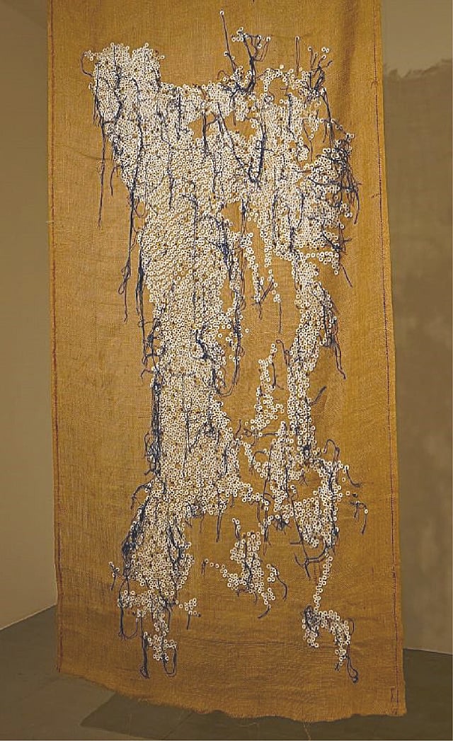 What lay in the fields by Meenakshi Nihalani