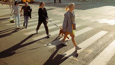 What is the viral 3x3 fitness rule?