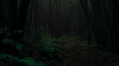 Eerie tales from North East India