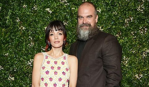 In her new lyrics, Lily Allen implies David Harbour cheated on her