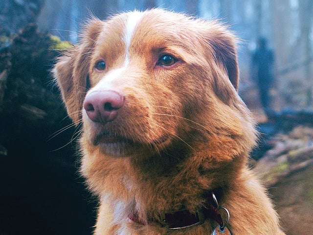 Unmissable events taking place in Hyderabad this week