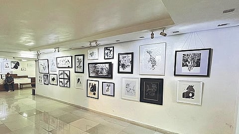 Drawing life in shade of stillness