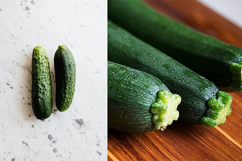 cucumber and zucchini