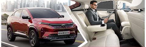 A number of new features for the back