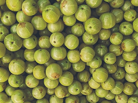 Amla boosts immunity, soothes digestion, and keeps your glow alive