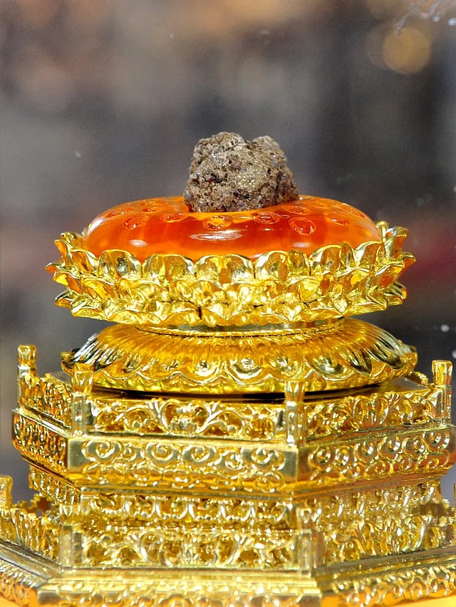 Delhi to host an exhibition of Buddha’s bone fragments and jewel relics at Qila Rai Pithora