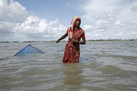 Village women catch shrimp in the river at Munshiganj, Sathkhira, Bangladesh. a prime scene to Amitav Ghosh's new book