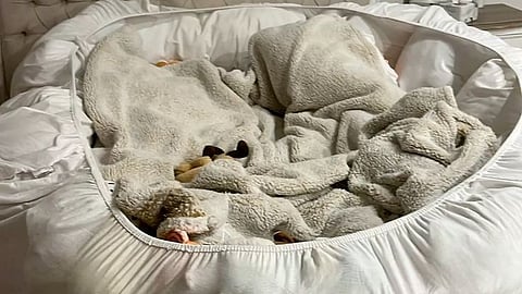 What is the new sleeping trend, Potato bed