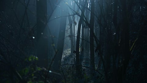 A team of talented actors come together to present a one-of-its-kind genre through the upcoming movie Zorr