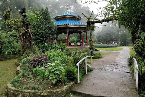 Visiting Gangtok, Sikkim? Stop by Ridge Park to view orchids here all year-round