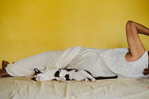 Artwork by Vinita Baretto