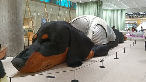 Giant breathing dachshund Sunshine