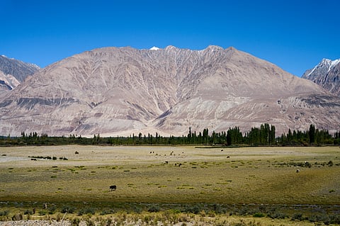 From the Passenger Seat: Vihan Shah’s moving frame across Ladakh
