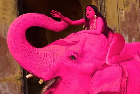 Foreign artist faces outrage on painting elephant pink