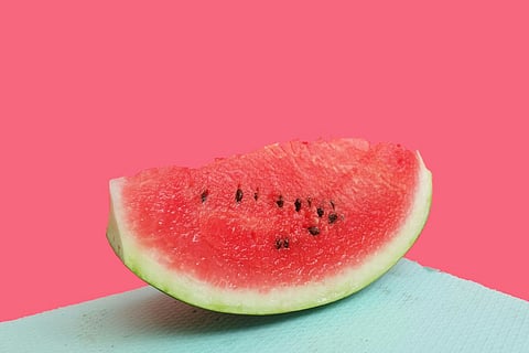 Summer survival guide