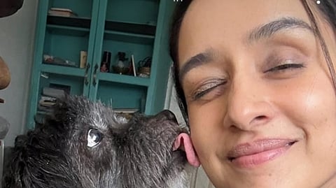 Shraddha Kapoor celebrates pet Shyloh’s 15th birthday, treats him with a special cake