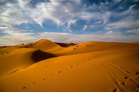 Did you know Sahara Desert was once a green haven?