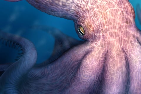 Did you know a 19-metre octopus once ruled the ocean floor?