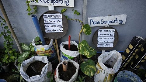 Why composting at home turns waste into garden ‘black gold’