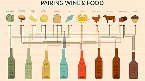 Illustration on food and wine pairing