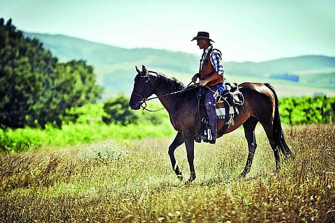Horse around at Hyderabad Horse Riding School