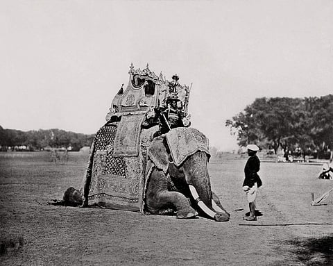 His Eminence, The Viceroy’s Elephant, Delhi Durbar, 1877