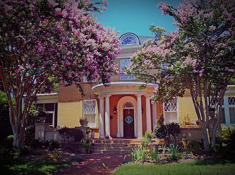 Grow more trees to have a balanced flow of energy