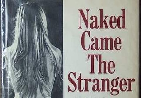 Naked Came The Stranger