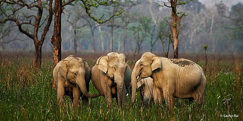 Toehold is a one-stop answer for all travel and photography enthusiasts, says Jayanth Sharma